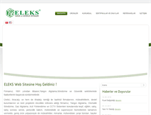 Tablet Screenshot of eleksyangin.com